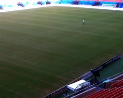 Rumput Manaus Diyakini Tak Akan Oke dalam Waktu Dekat