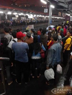 Berjuang di Stasiun Tanah Abang, Menunggu dan Berebut Kereta