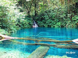 Danau Ajaib Sebening Kaca & Kelabang Raksasa di Jambi