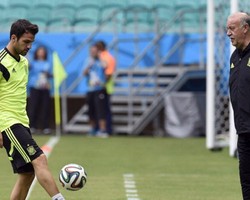 Spanyol Tak Terpengaruh Saga Transfer Fabregas