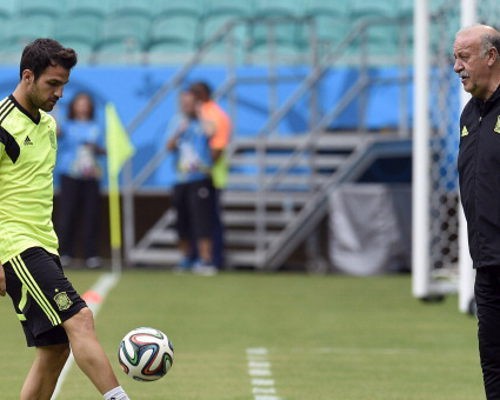 Spanyol Tak Terpengaruh Saga Transfer Fabregas