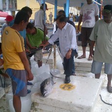 Dengar Aspirasi Nelayan, JK Kunjung Pelabuhan Perikanan di Ternate