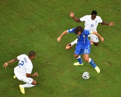 Singa Ompong di Tengah Hutan Amazonia