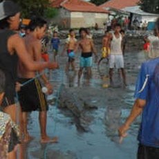 Buaya yang Terdampar di Pantai Madura itu jadi Tontonan