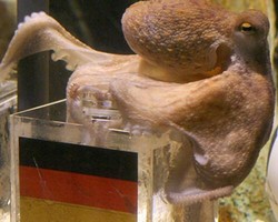 Ramal-Meramal Piala Dunia Setelah Si Paul Tiada