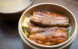 Unagi Jepang Resmi Dimasukkan Dalam Daftar Hewan Terancam Punah