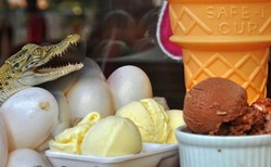 Yummy! Es Krim Lembut Manis Ini Dibuat dengan Campuran Telur Buaya