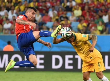 Pitbull Chile Siap Gigit Spanyol