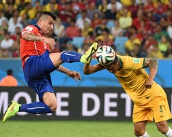 Pitbull Chile Siap Gigit Spanyol