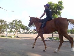 Sempat ke Pacuan Kuda Pulomas, Prabowo Janji Majukan Olahraga Berkuda