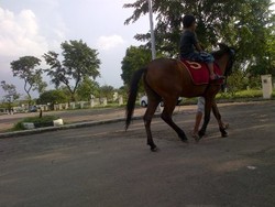 Nasib Pacuan Kuda Pulomas yang Dulu Pernah Bersinar