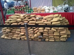 Polda Metro Musnahkan Narkoba Senilai Rp 312 Miliar