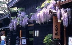 Takayama, Serasa Balik ke Zaman Samurai di Kota Tua Jepang