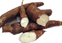 Memilih Singkong yang Empuk