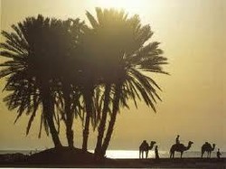 Awal Ramadan di UEA Diperkirakan 29 Juni, Idul Fitri 28 Juli