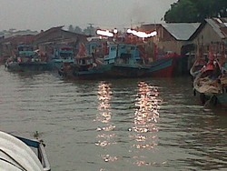 Ini Alasan Mengapa Tanjung Balai Asahan Disebut Pelabuhan Tikus