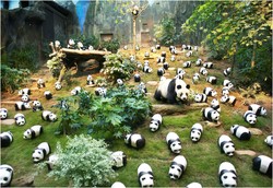 Gemas! 1.600 Panda Serbu Ocean Park Hong Kong