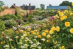 8 Kerajaan Bunga Paling Indah di Dunia (1)