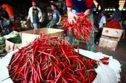 Pejabat Kementan Tak Percaya RI Bisa Impor Cabai Segar