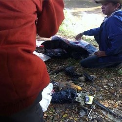 Bayi Perempuan Ditemukan Tewas di Pasar Rumput