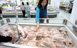 Berapa Harga Daging Ayam Broiler di Supermarket?