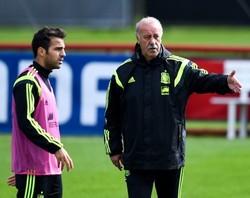 Fabregas-Del Bosque Berselisih?