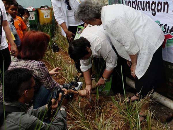 Relawan Jokowi-JK Tanam Vetiver