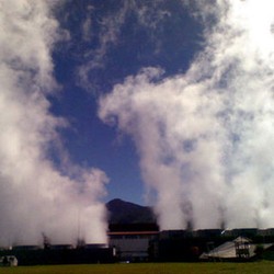 Lelang Blok Gas Batubara Oleh Pemerintah Sepi Peminat