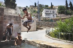 Situs Warisan Dunia Terbaru: Undakan Sawah di Palestina