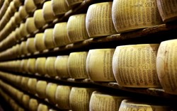 Keju Parmesan Parmigiano-Reggiano Tercemar Racun Disita di Italia