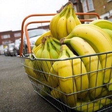 Bill Gates Kucurkan Rp 120 Miliar Demi Pisang Super