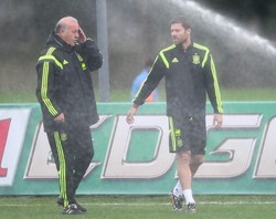 Del Bosque Dikritik, Alonso Membela