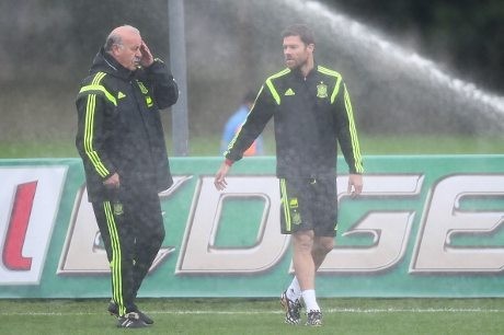 Del Bosque Dikritik, Alonso Membela