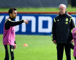 Del Bosque: Tak Ada Masalah dengan Fabregas