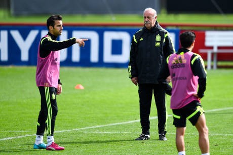 Del Bosque: Tak Ada Masalah dengan Fabregas