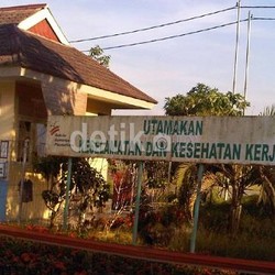 Bayar Utang Triliunan, Perusahaan Perkebunan Grup Bakrie Jual Aset