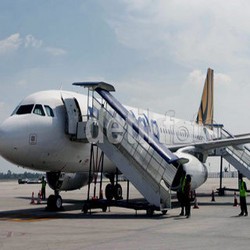 Tigerair Mandala Setop Terbang, Rutenya Ditawarkan ke Garuda dan Lion Air