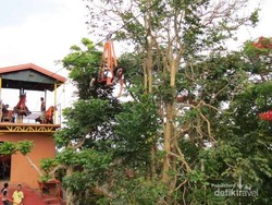 Zip Lining, Flying Fox Seru dari Filipina
