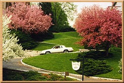 Jalanan di AS Ini Bentuknya Seperti Ular