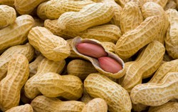 Kacang Tanah yang Tidak Sebabkan Alergi Sedang Dikembangkan di Amerika