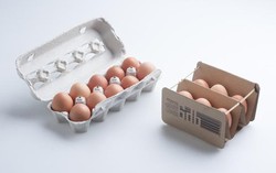 Mahasiswi Hungaria Membuat Desain Kotak Telur yang Bisa Dilipat