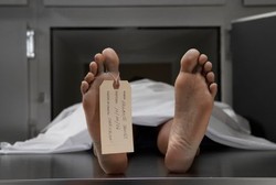 Pria 33 Tahun di Cakung ini Meninggal Dunia Terserang Virus Flu Burung