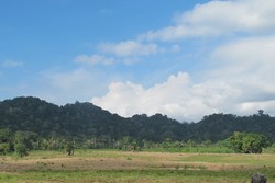 Berasa di Afrika, Padahal di Banyuwangi
