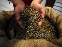 Produksi Kopi Nasional Kembali Lesu