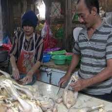 Harga Daging Ayam di Lamongan Tembus Rp 40 Ribu per Kg