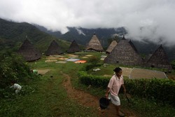 Wae Rebo, Kampung di Atas Awan