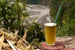 Segar Manis Caldo de Cana, Sari Tebu Murni Khas Brazil