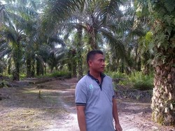 Awal Jadi Transmigran Diolok-olok, Pria Ini Jadi Juragan Sawit Berpenghasilan Rp 20 Juta/Bulan