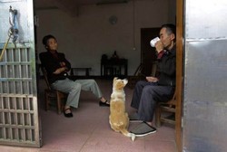 Heshan, Desa Penuh Penderita Kanker Karena Tercemar Arsenik