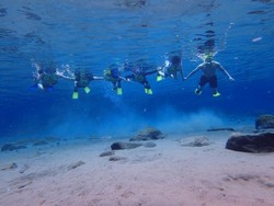 Keajaiban Indonesia, Bisa Snorkeling di Kaki Gunung Merapi!